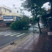 Cho thuê nhà nguyên căn 214 Trần Quý Cáp, Ninh Hòa, Khánh Hòa