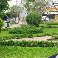 NHÀ ĐẸP KHU VIP BÔNG SAO – HXH 6M – 4 TẦNG – CHỈ 9 TỶ